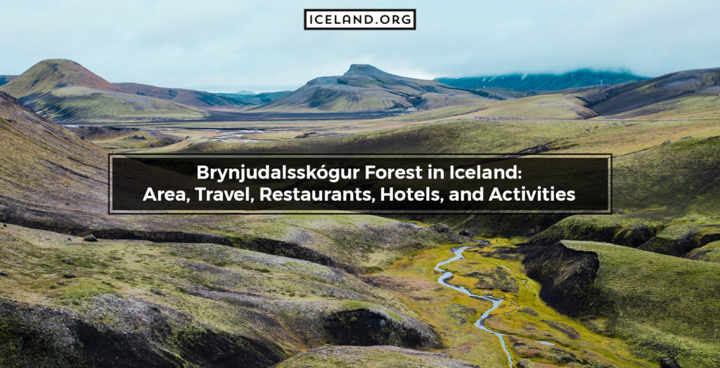Brynjudalsskógur Forest in Iceland: Area, Travel, Restaurants, Hotels, and Activities - Iceland.org Brynjudalsskógur Forest in Iceland