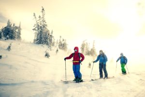 Skiing - Tour - Iceland.org The Best skiing Tours in Iceland