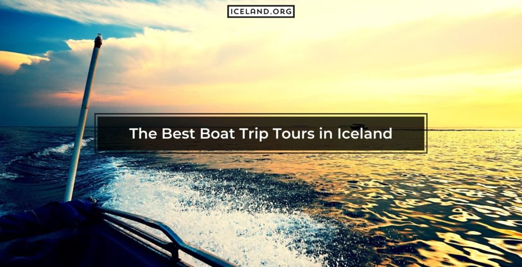 The Best Boat Trip Tours in Iceland - Iceland.org Best Boat Trip Tours in Iceland